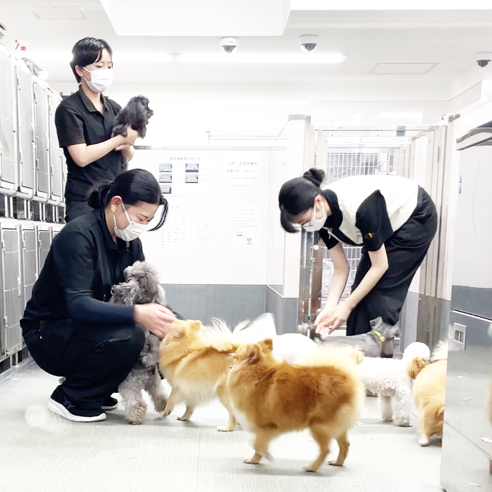 Ｗａｎ活の生徒とお散歩☆